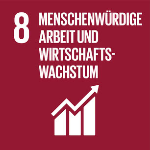 SDG icon DE 08.jpg