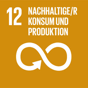 SDG icon DE 12.jpg