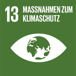 SDG icon DE 13.jpg