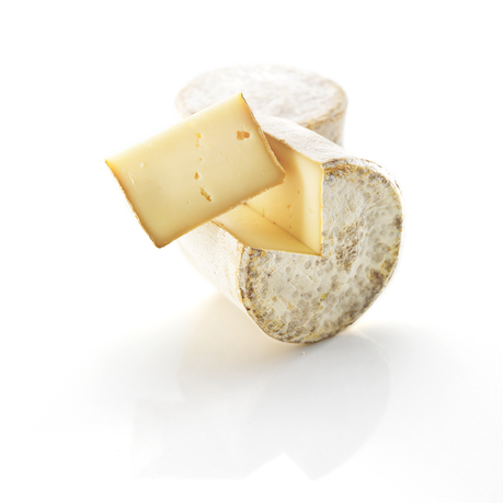 Auf dem Bild ist ein Stück Käse mit einer grauen Rinde und einem gelben Inneren sowie ein ganzes Stück des Käses zu sehen.