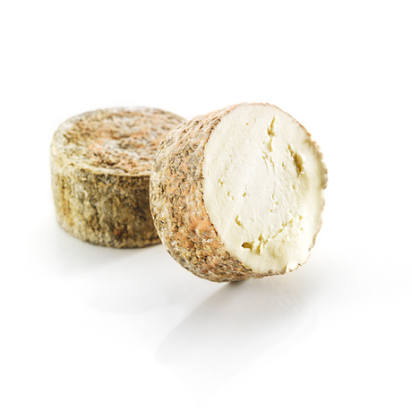 Auf dem Bild sind zwei runde Käsestücke zu sehen, eines davon angeschnitten, mit einer rauen Rinde und einer cremigen Innenseite.