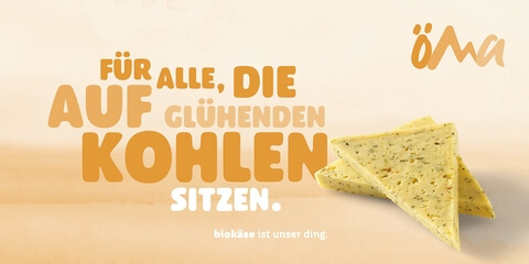 Brat und Grillkaese Website Header