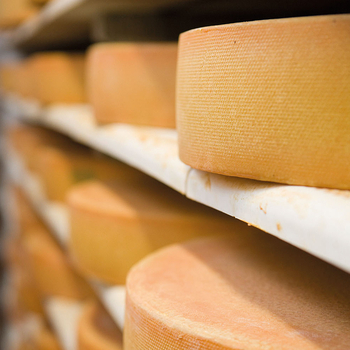 22 OeMA Kaeseherstellung edit 2026 02 03 06 47 12